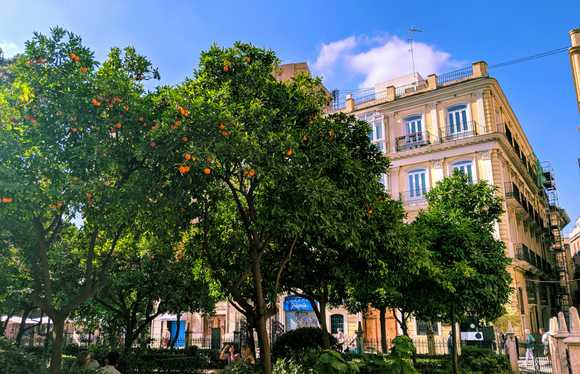 Torrente: A hidden gem near Valencia