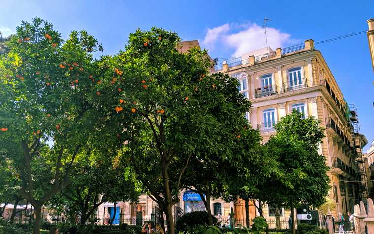 Torrente: A hidden gem near Valencia