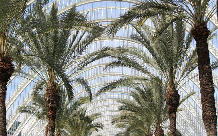 Valencia: World capital of Oranges